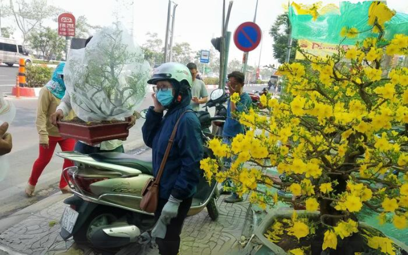 Bảng Giá Cho Thuê Mai Tết - Cho Thuê Mai Tết Trọn Gói, Không Phát Sinh Chi Phí 22 Người dân TP. HCM đổ xô đi mua mai đón Tết