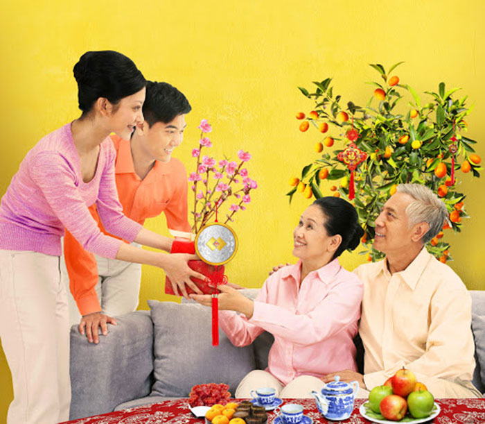 Top 5 Loài Cây Có Tên Thích Hợp Trong Việc Tặng Quà Ngày Tết 8 5 loài cây có tên thích hợp trong việc tặng quà ngày tết