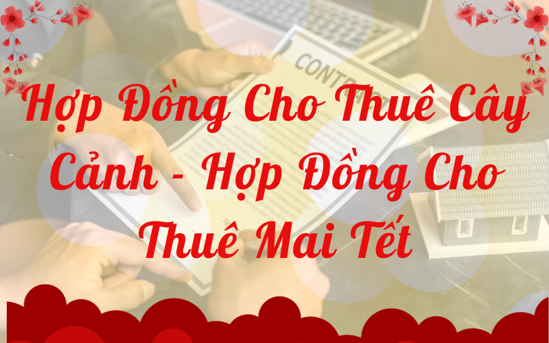 Hợp đồng cho thuê cây cảnh - Hợp đồng cho thuê mai tết