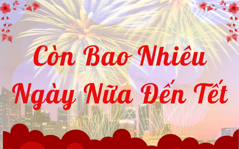 Còn Bao Nhiêu Ngày Nữa Đến Tết