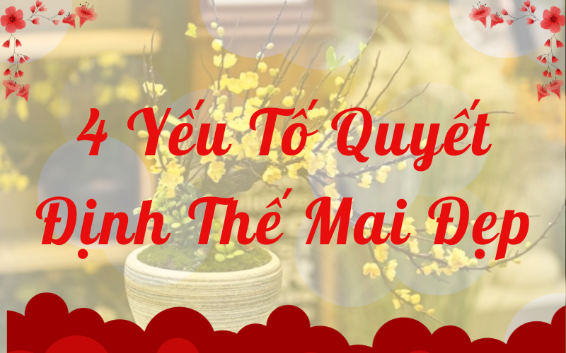 4 Yếu Tố Quyết Định Thế Mai Đẹp Top 10 Thế Mai Vàng Đẹp Ngày Tết