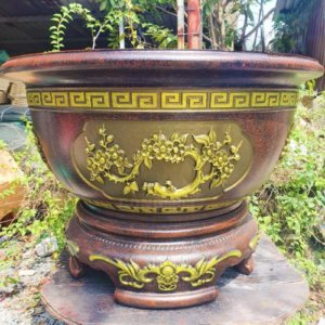Chau Kieng Tuong Sinh Menh Tho