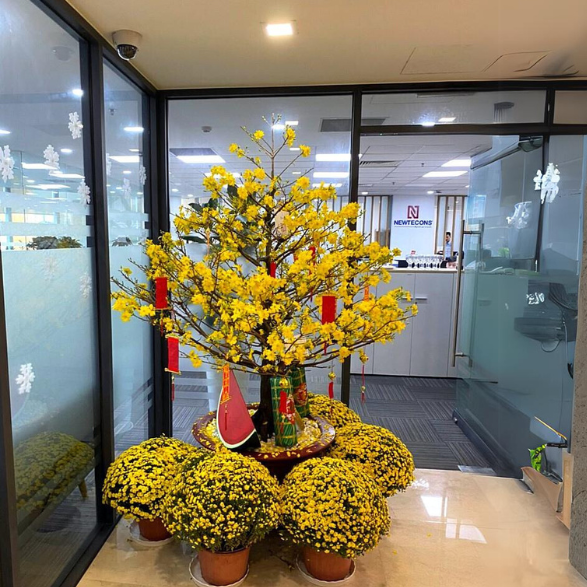 Thiet ke chua co ten 1