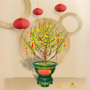Mai Vàng Cho Thuê Thịnh Vượng