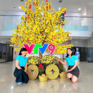Mai Vàng Cho Thuê Chưng Sảnh 3 Mai Vàng Cho Thuê Chưng Sảnh